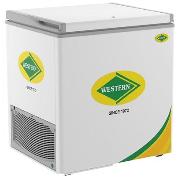Buy Commercial Freezer Online Lowest Commercial Freezer Price in